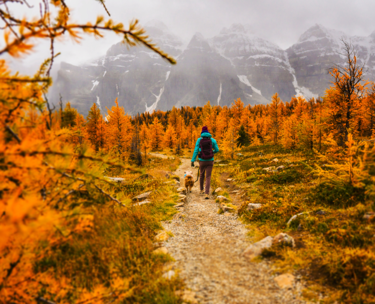 Person hiking with dog in fall weather