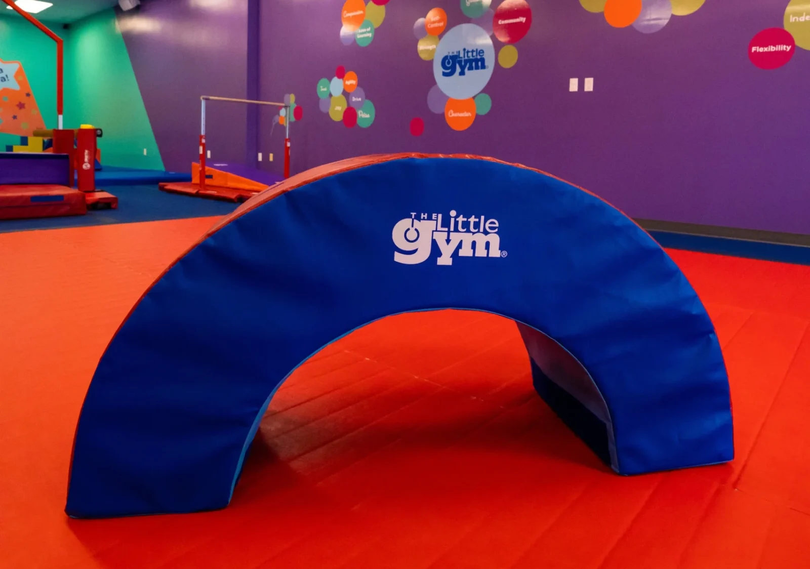 The Little Gym