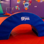 The Little Gym