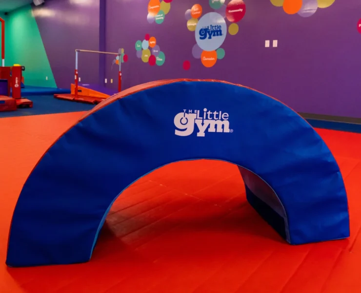 The Little Gym