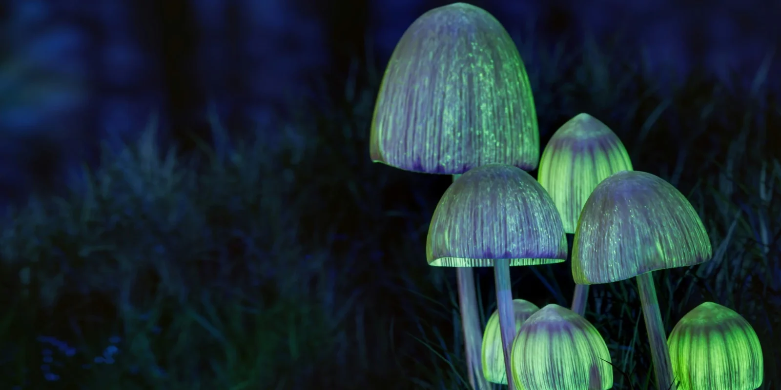 glowing mushrooms