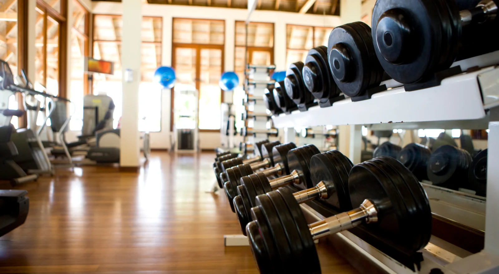 rack of dumbbells inside a gym