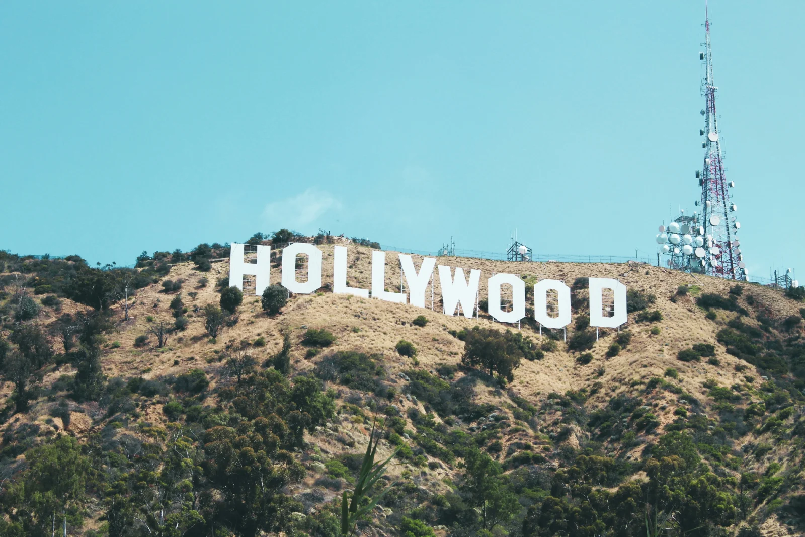 The Hollywood Sign