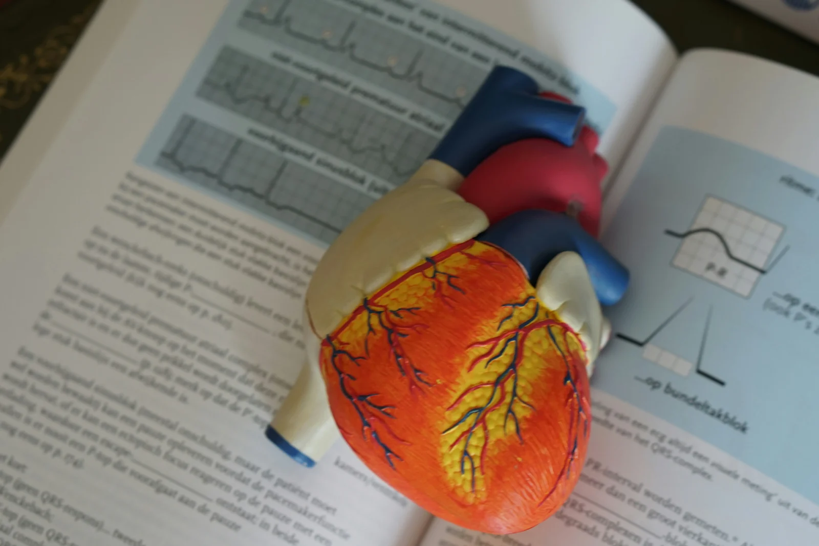 an image of a heart object within a medical book