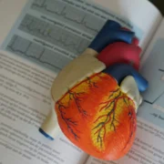 an image of a heart object within a medical book